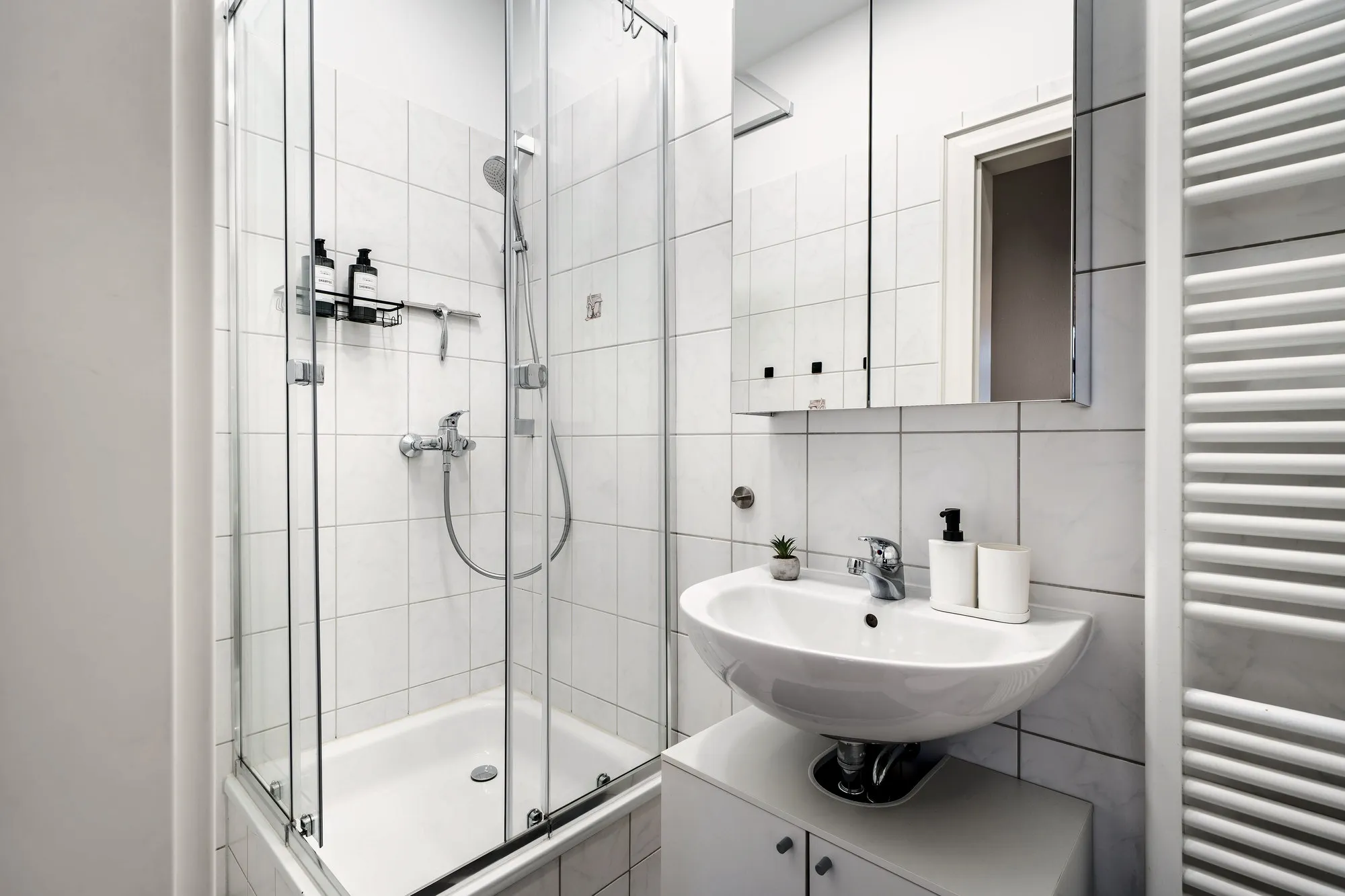 Badezimmer im Boutique-Apartment Green I in Dresden