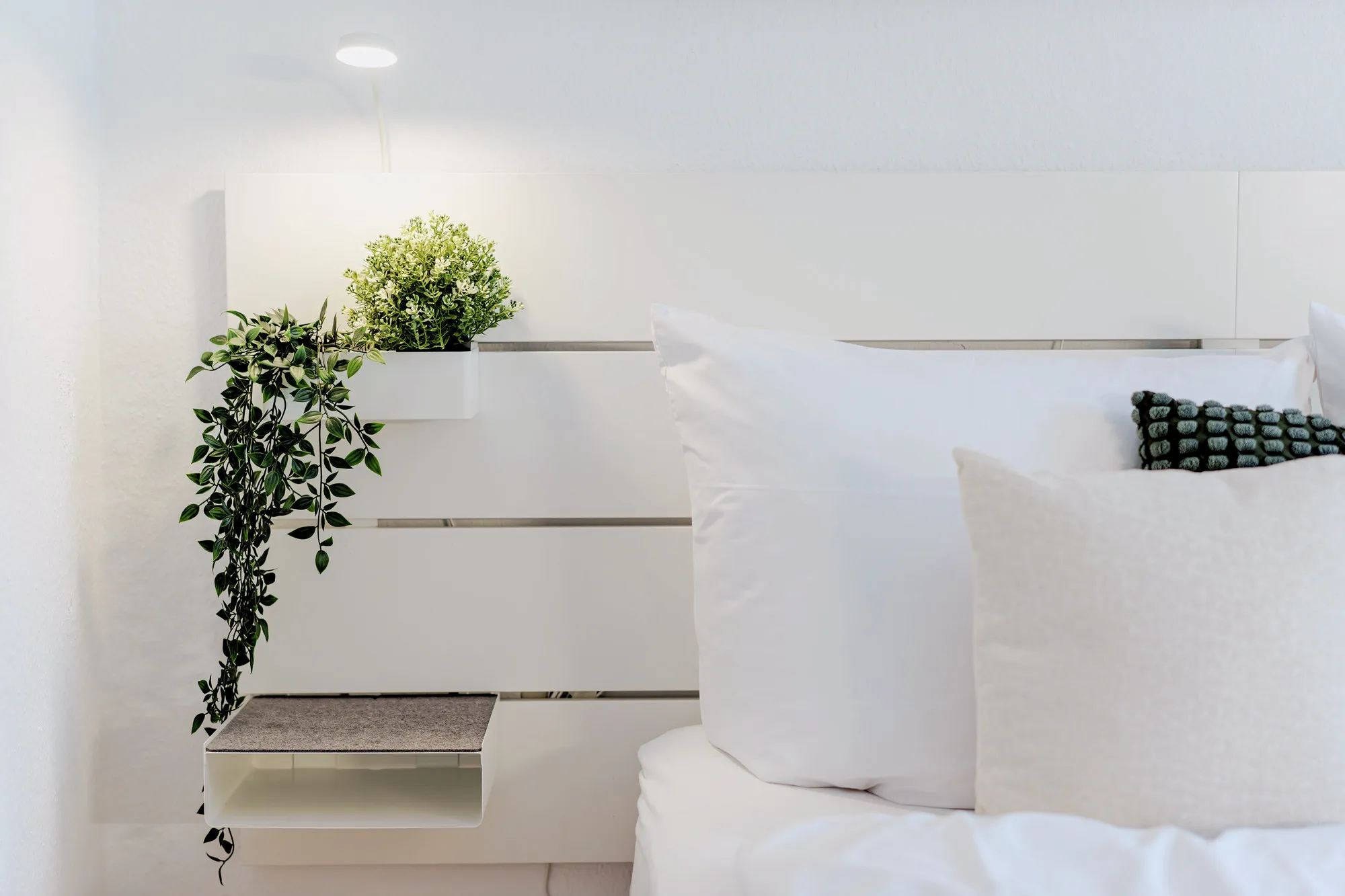 Detail im Boutique-Apartment Green I in Dresden